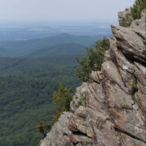 Some of the best things about Charlottesville lie right outside! Here are my favorite hiking and winery spots in the area!