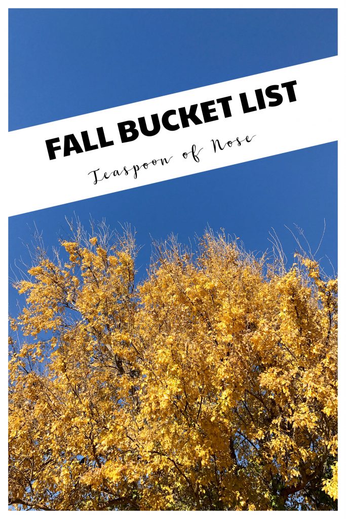 Autumn is nearly here! Here's my fall bucket list for seasonal fun and random goals! | Teaspoon of Nose