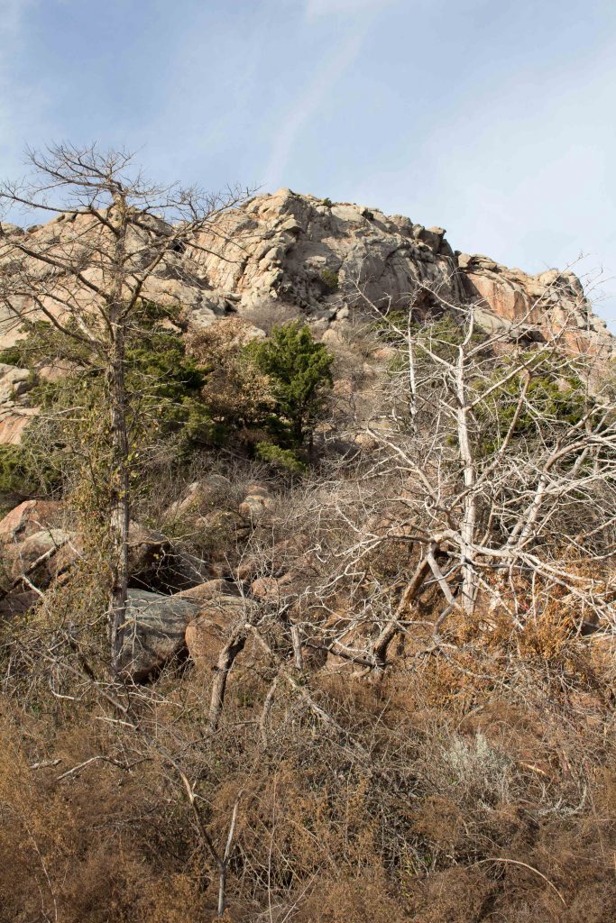 Our closest hiking spot is Quartz Mountain, which is rustic and beautiful! | Teaspoon of Nose 