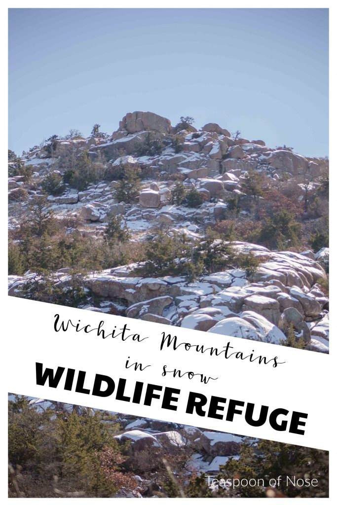Hiking in the Wichita Mountains Wildlife Refuge in southwest Oklahoma gets even better in the snow! | Teaspoon of Nose