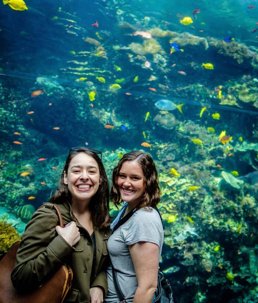 Exploring the Georgia Aquarium in Atlanta! | Teaspoon of Nose