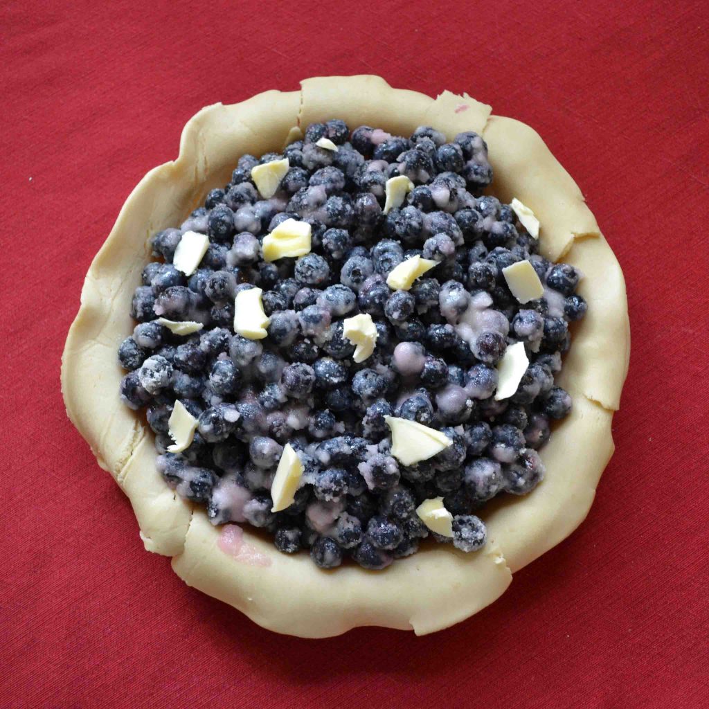 Blueberry pie is the most-baked pie in our house! | Teaspoon of Nose