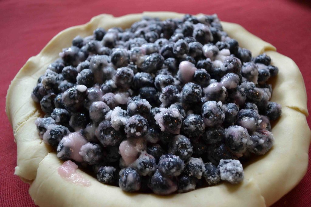 Blueberry pie is the most-baked pie in our house! | Teaspoon of Nose