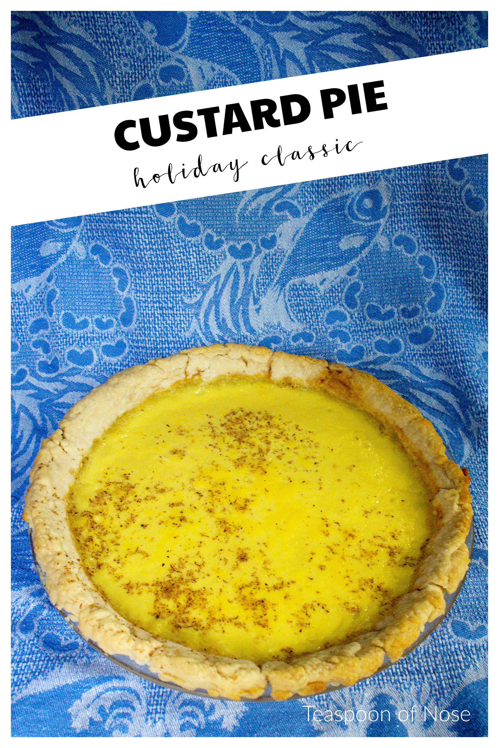Custard Pie is rich and luscious and tastes overwhelmingly of vanilla with a hint of spice, making a perfect dessert for any holiday meal! | Teaspoon of Nose 