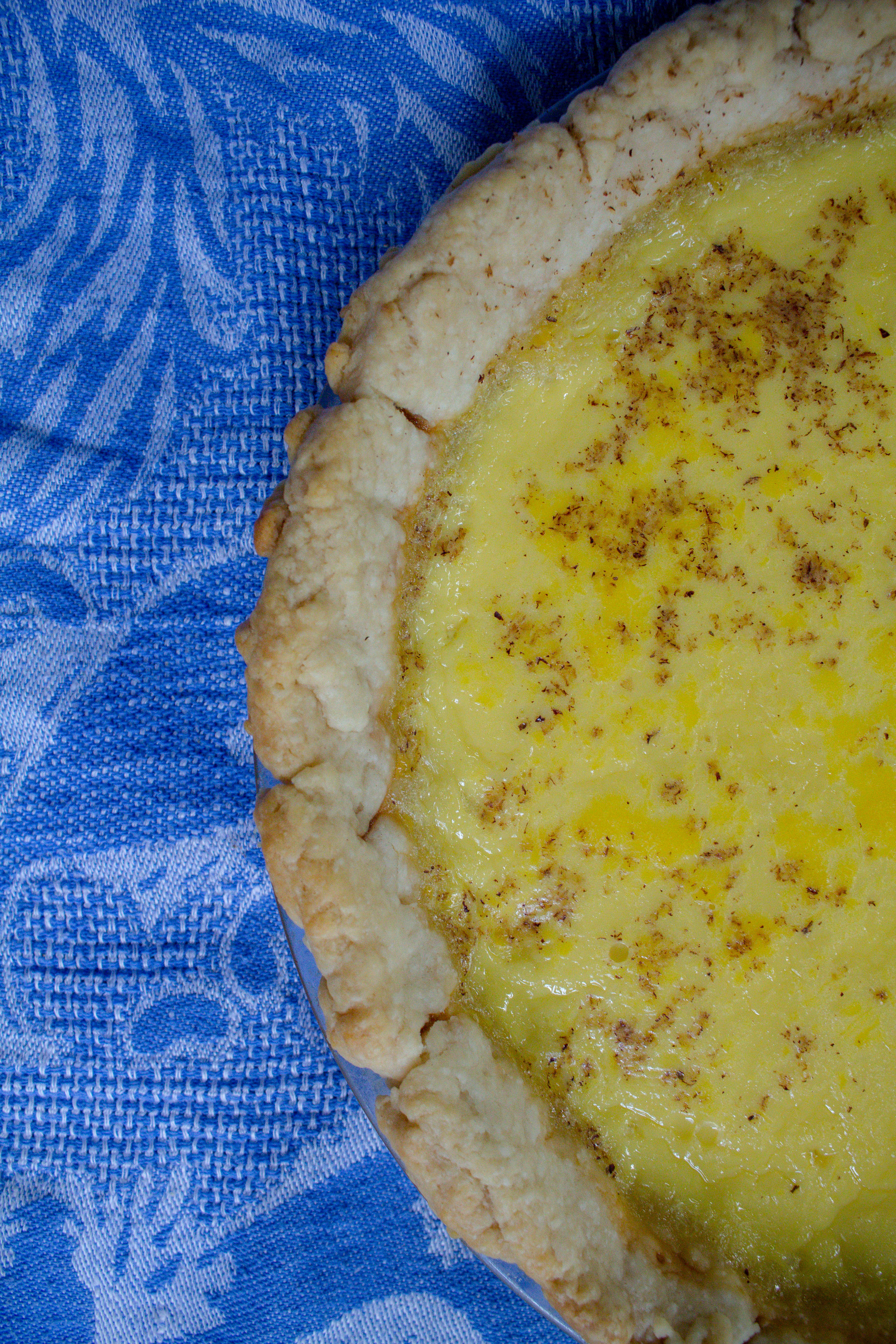 Custard Pie is rich and luscious and tastes overwhelmingly of vanilla with a hint of spice, making a perfect dessert for any holiday meal! | Teaspoon of Nose