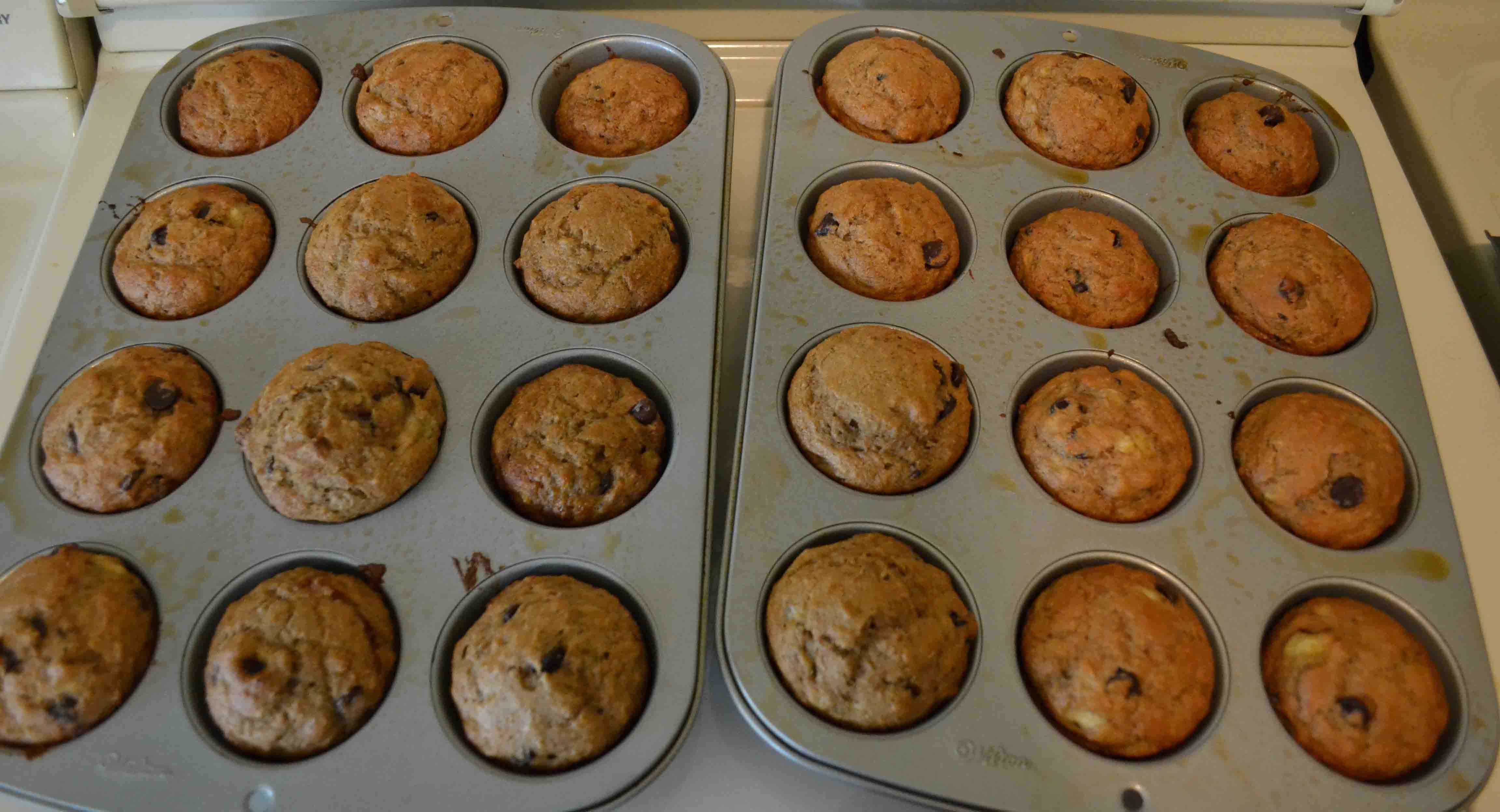 Chocolate chip banana muffins taste great and make for a delicious breakfast on the go!