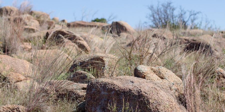 Secret Oklahoma hiking spots are the best! Check out the Wichita Mountains Wildlife Refuge for Oklahoma's biggest gorge and beautiful scenery. | Teaspoon of Nose