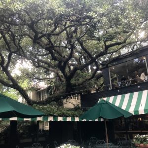 New Orleans' Garden District offers another side New Orleans: local flavor, with just as much history and culture. | Teaspoon of Nose