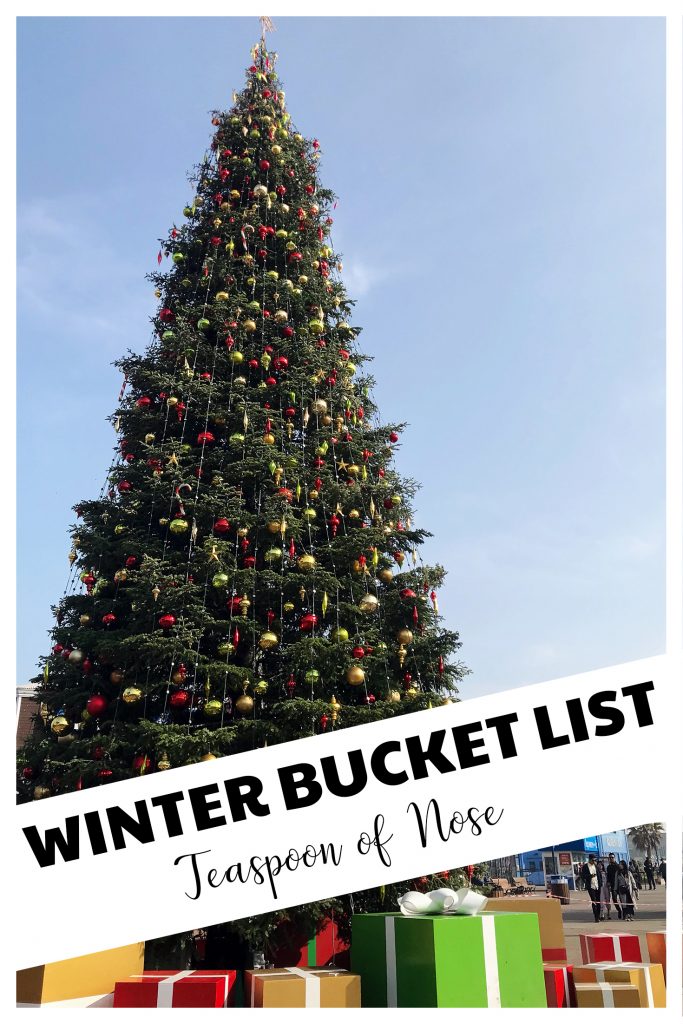 Winter Bucket List - chock full of fun for the cold weather! Holidays, New Years, and winter! 