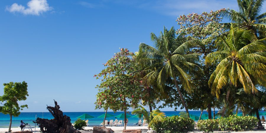 Whether you're into history, beaches, adventure or just here for the rum, you can find something to suit! Here's what to see in Barbados!