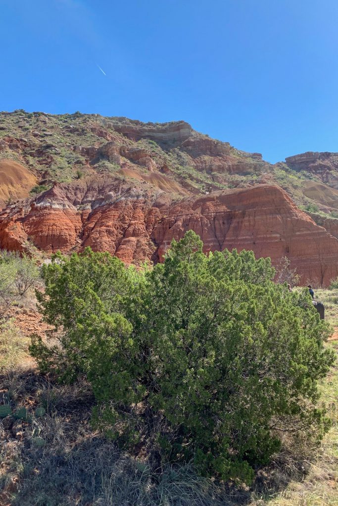Once famously called "the best kept secret in Texas," Palo Duro Canyon State Park makes a perfect hiking trip destination!