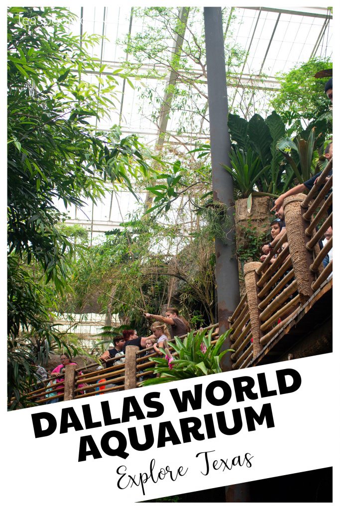 Introducing the Dallas World Aquarium!