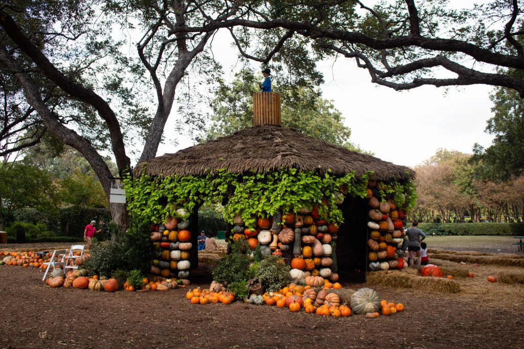 Dallas Arboretum is really beautiful year round, but it's fall exhibit is it's best!