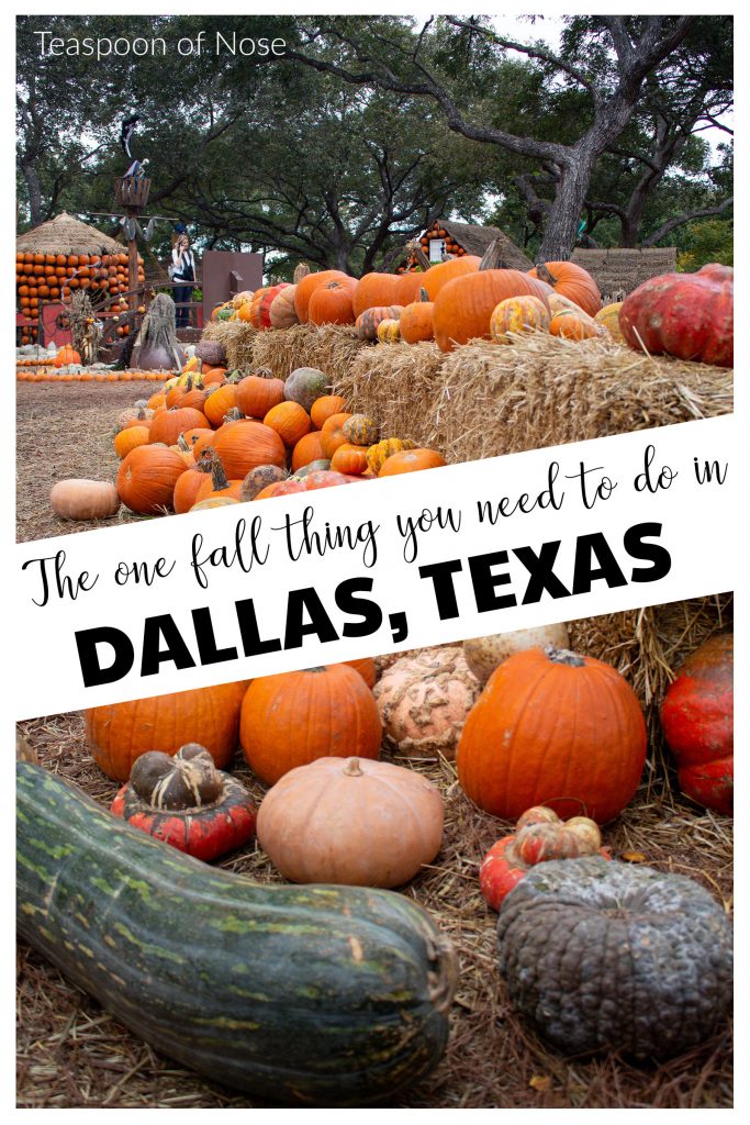 The one thing you must do in Dallas in the fall!! 