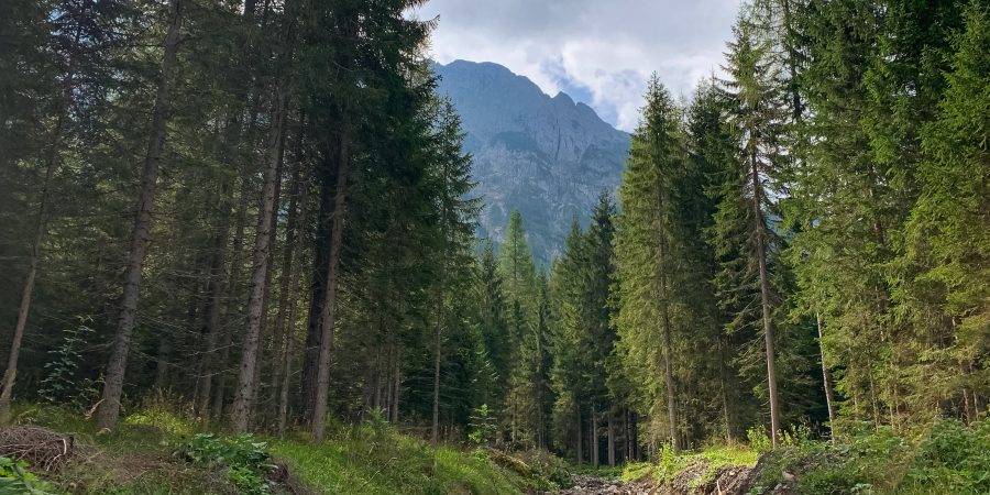 The Dolomites may be most known for skiing, but they're excellent for hiking in the off-season! Today I'm sharing a favorite trail we tried recently.