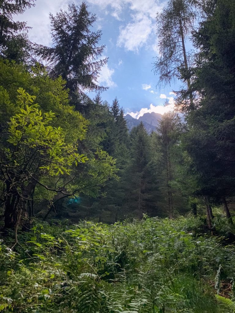The Dolomites may be most known for skiing, but they're excellent for hiking in the off-season! Today I'm sharing a favorite trail we tried recently.