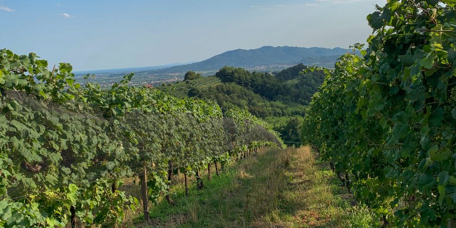 With so many vineyards dotted throughout Prosecco Road, it can be hard to choose where to go. These are my favorites and all worth a visit!
