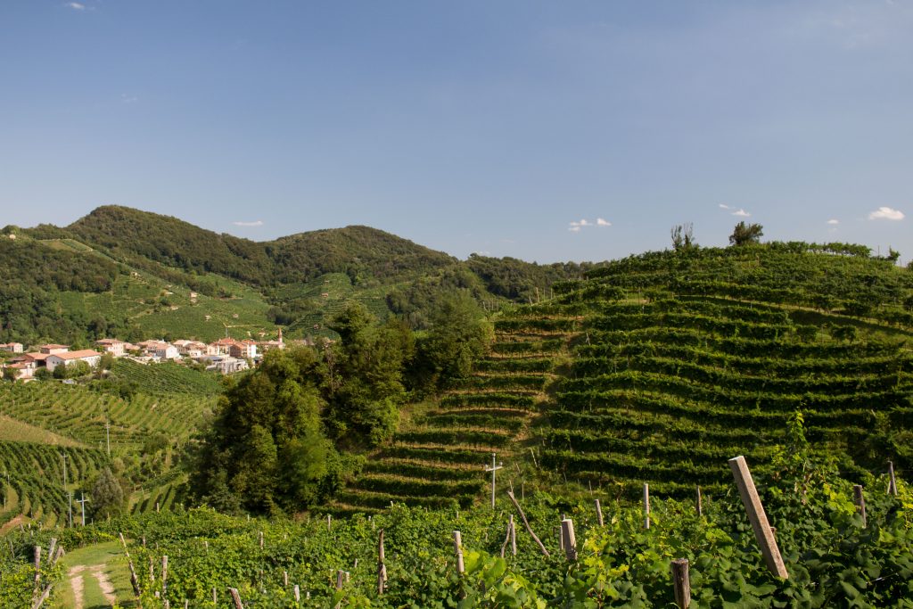 With so many vineyards dotted throughout Prosecco Road, it can be hard to choose where to go. These are my favorites and all worth a visit!