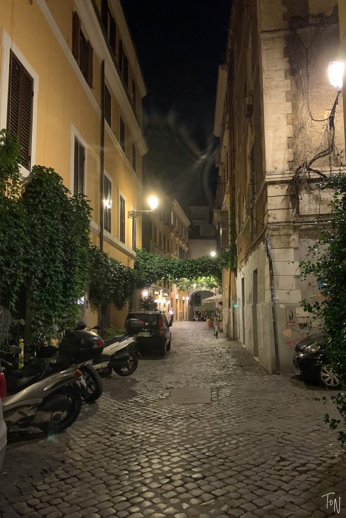 Want a new way to explore the Eternal City? Complete with passwords and secret doors, Rome speakeasies offer a fantastic way to check out local nightlife! 