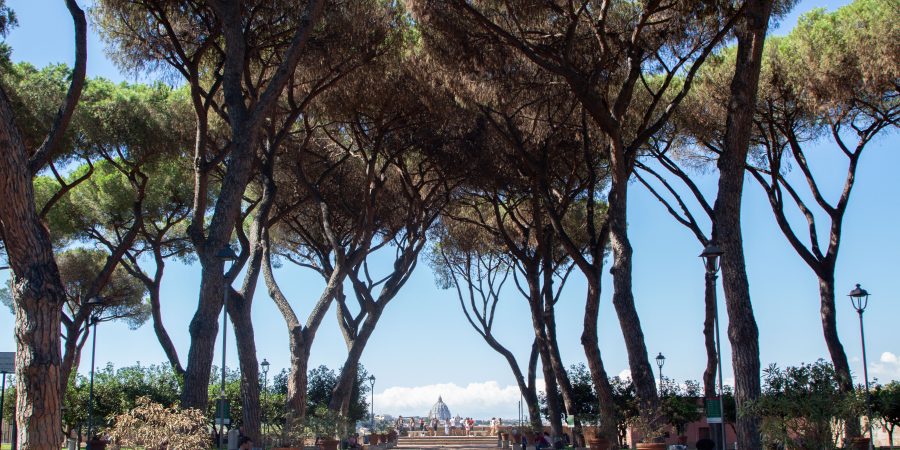 If you're dreaming of your next trip to Rome and want ideas beyond the classics, I've got you covered!
