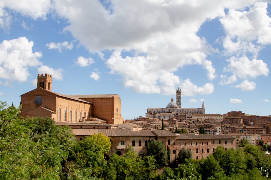 At just an hour from Florence, Siena is a popular day trip destination, but it has enough to offer that you can easily enjoy a weekend here!