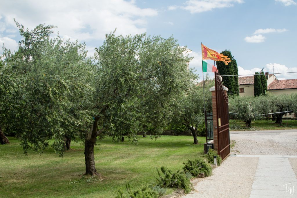 Want a classic Italian experience? Visit my favorite olive oil farm: Bonamini frantoio, just outside Verona.
